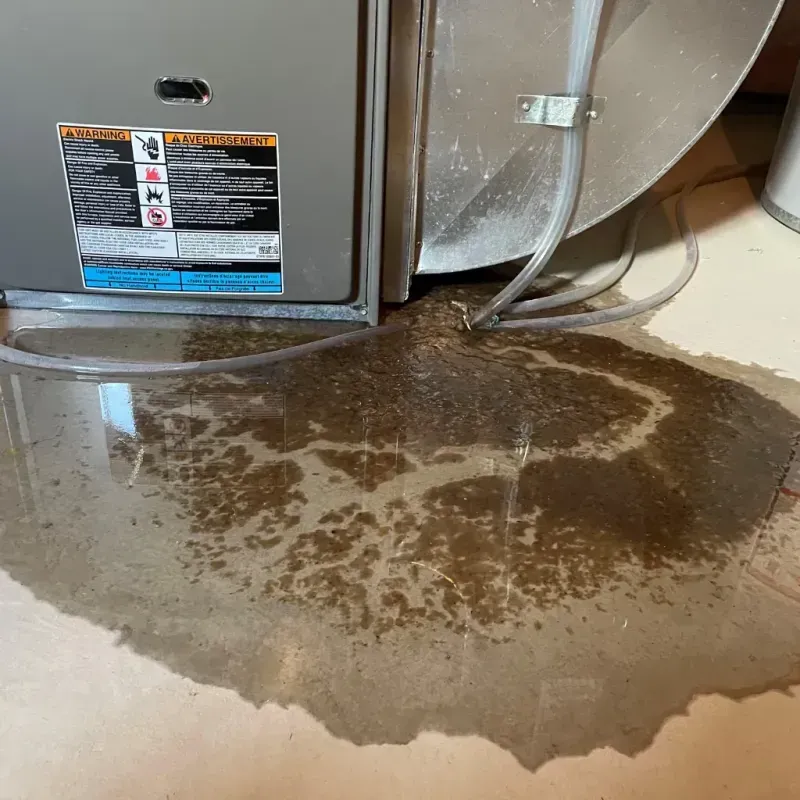 Appliance Leak Cleanup in Elm Grove, WI